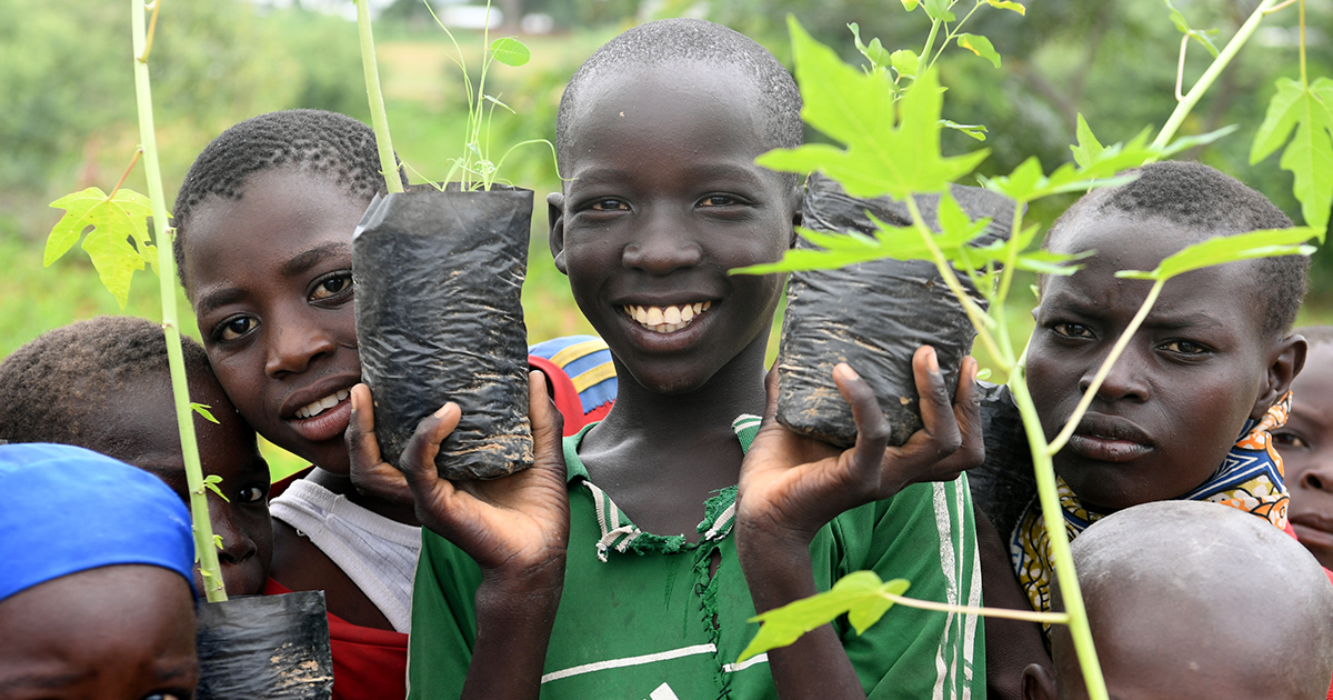 Facebook Refugees In Cameroon Help Build Great Green Wall To Combat Desertification